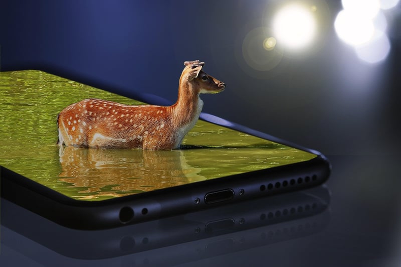 Innovative Menus